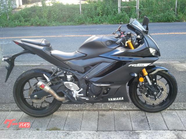 ＹＺＦ−Ｒ２５　カスタムマフラー