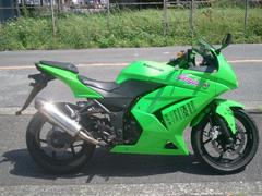 カワサキ　Ｎｉｎｊａ　２５０Ｒ　マフラー・ＬＥＤライト・カスタムレバー