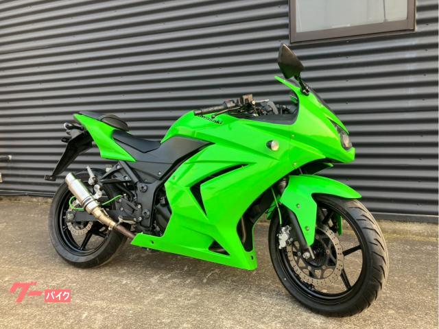 Ｎｉｎｊａ　２５０Ｒ　社外マフラー　前後ブレーキホースメッシュ