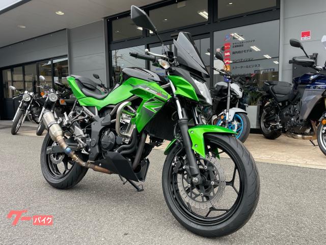 Ｚ２５０ＳＬ　ＳＳＢバンパー　フェンダーレス　ＵＳＢ電源　イニシャルアジャスター　社外マフラー　サブコン装備