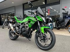 カワサキ　Ｚ２５０ＳＬ　ＳＳＢバンパー　フェンダーレス　ＵＳＢ電源　イニシャルアジャスター　社外マフラー　サブコン装備