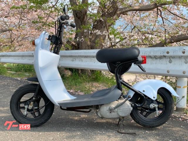 車両情報 スズキ チョイノリ Bike Line 中古バイク 新車バイク探しはバイクブロス