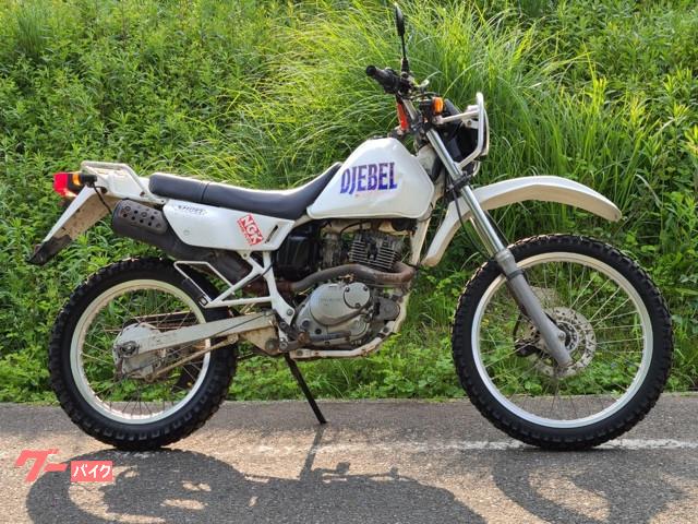 ジェベル１２５