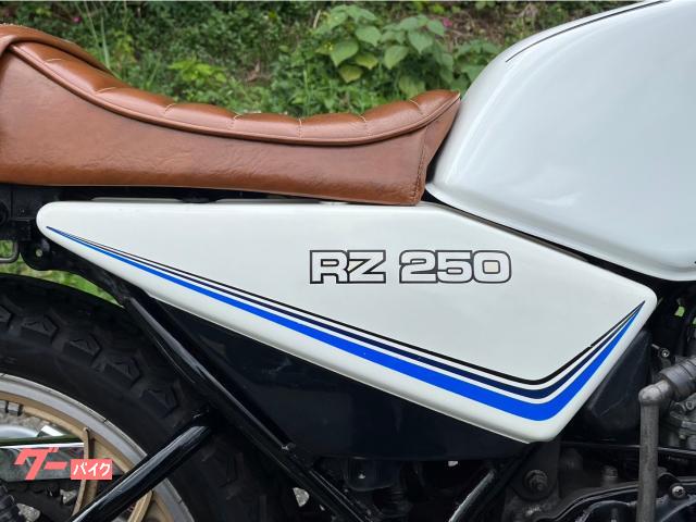 ヤマハ RZ250 ウオタニ 社外インテークチャンバー ヤマハ RZ250 ウオタニ 社外インテークチャンバー