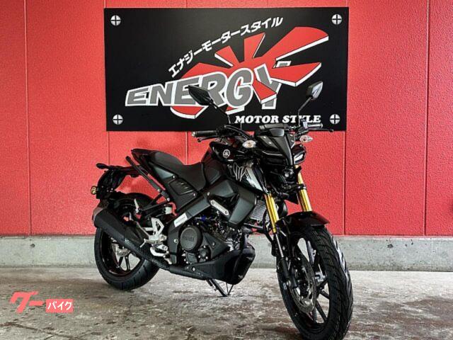 YAMAHA MT-15 150cc ローダウン&ハンドルカスタム