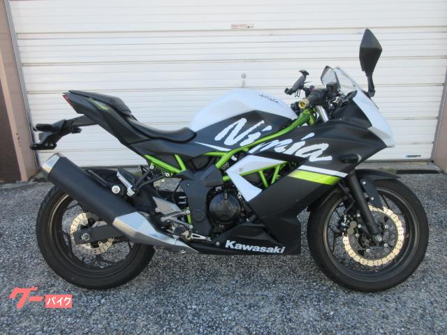 Ｎｉｎｊａ　２５０ＳＬ　トラスフレーム　バッテリー新品交換