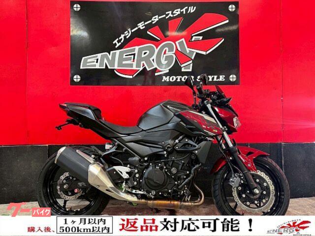 Ｚ２５０　２０１９年式　ＥＸ２５０Ｐ型　フルノーマル　ローダウンリンク　純正キー付属　新品バッテリー　１年保証