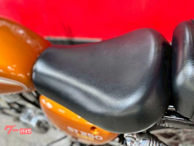 正月限定！値下げ中】WM製キャプトンマフラー ST250用 【公式通販】