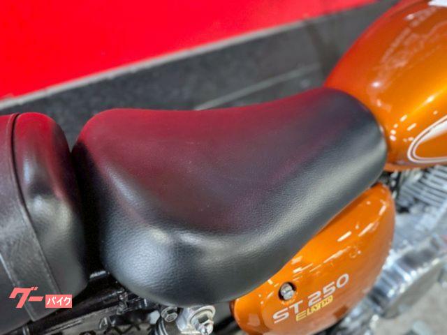 正月限定！値下げ中】WM製キャプトンマフラー ST250用 【公式通販】
