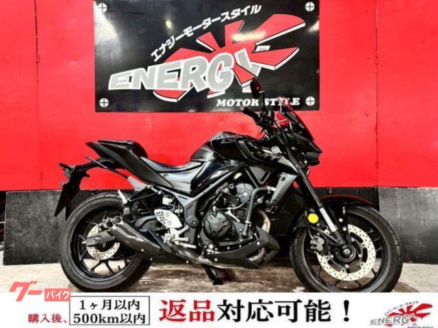 ＭＴ−２５　ＥＴＣ　ＰＲＵＮＵＳスリップオン　ＭＲＡスクリーン　ＥＦＦＥＸ調整式レバー　ＶＩＳＩＯＮミラー　新品バッテリー　１年保