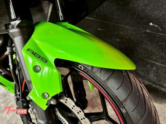ninja250 明日までで消します カワサキ Ninja 250 FI ABS ETC フルノーマル USB
