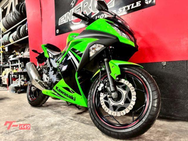 ハイジのママ　緑　S2 カワサキ Ninja 250 FI ABS ETC フルノーマル USB