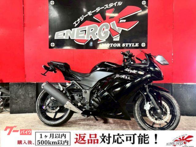 Ｎｉｎｊａ　２５０Ｒ