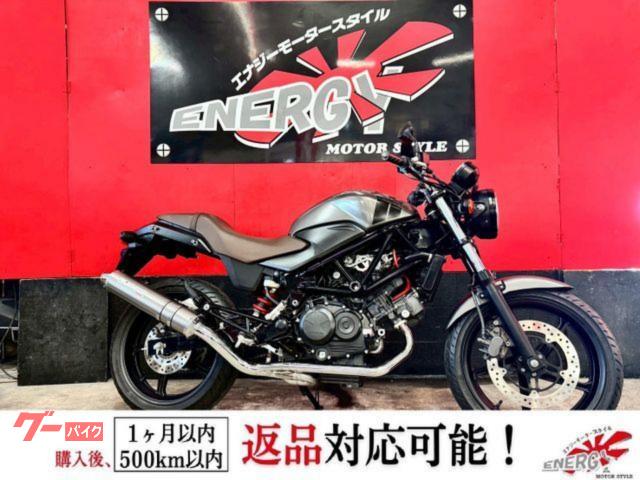 ＶＴＲ２５０