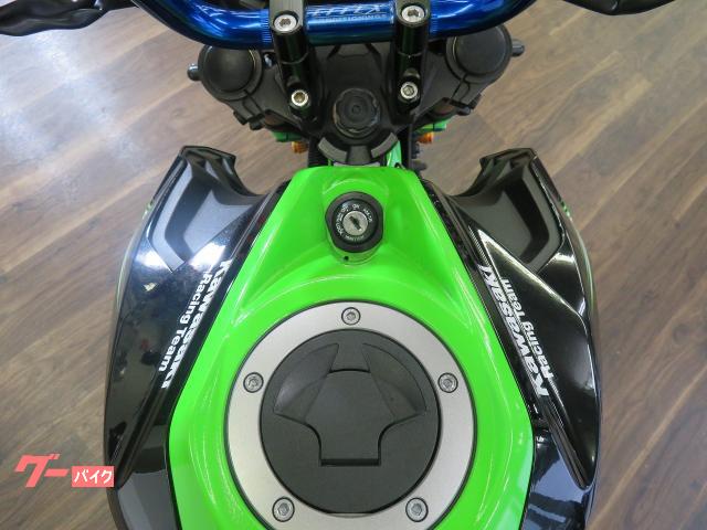 カワサキ Ｚ１２５ＰＲＯ ＫＲＴエディション タイ本国仕様 リヤ