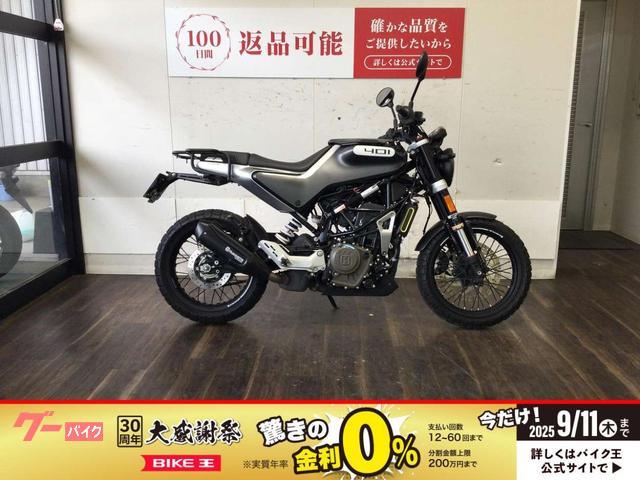 スヴァルトピレン４０１
