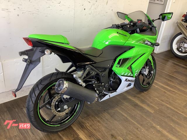 【中古】 ウルティマ ブリタニア王国の危機/勁文社/菊島恵三 ☆新成虫☆赤系☆デンティクルスゲンシミヤマクワガタ | Dorcusfarm