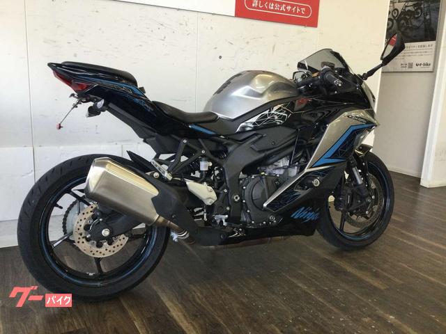 なかで カワサキ Ninja ZX－25R SE フェンダーレス ロ
