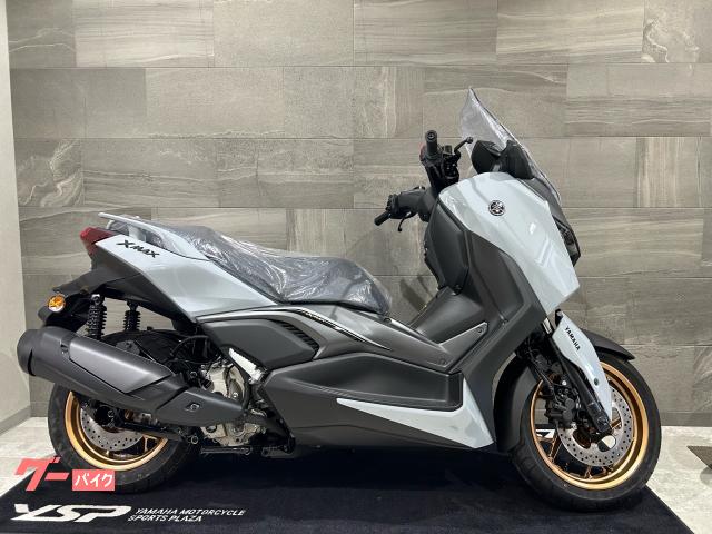 Ｘ−ＭＡＸ２５０