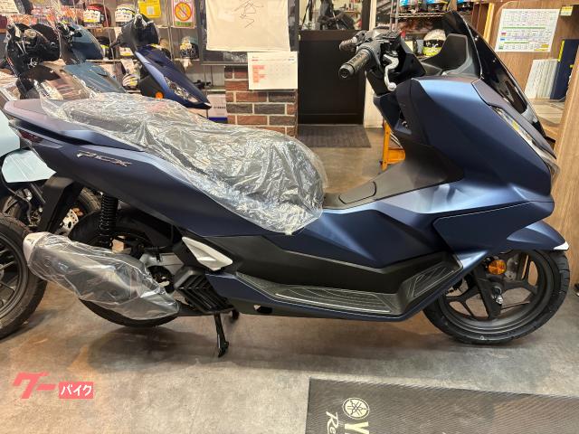 ＰＣＸ　インジェクションモデル　ＬＥＤ仕様　　マットスターリーブルーメタリック