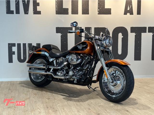 ＨＡＲＬＥＹ－ＤＡＶＩＤＳＯＮ ＦＬＳＴＦ ファットボーイ ２０１５