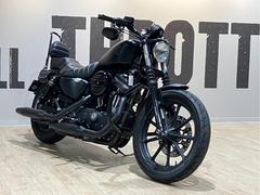 ＨＡＲＬＥＹ−ＤＡＶＩＤＳＯＮ　ＸＬ８８３Ｎ　アイアン　２０１９年モデル　ＥＴＣ　ペアライド仕様　前後ケラーマン　サドルバッグ　シーシーバー