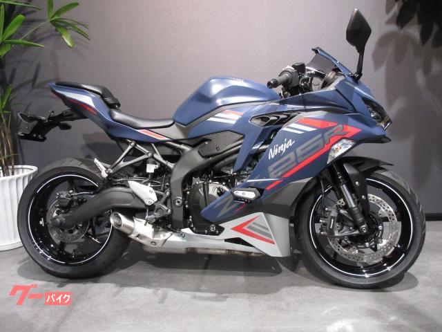 Ｎｉｎｊａ　ＺＸ−２５Ｒ　ＳＥ