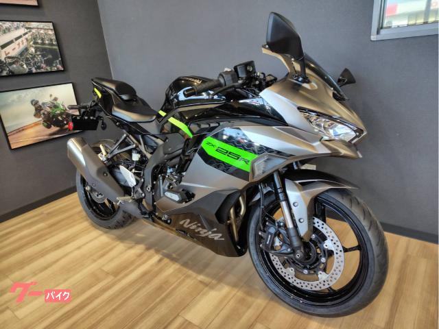 Ｎｉｎｊａ　ＺＸ−２５Ｒ　ＳＥ　２０２６年モデル