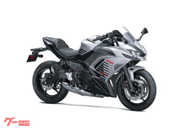 Ｎｉｎｊａ　６５０　２０２６年モデル　シルバー