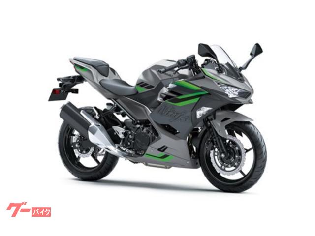 Ｎｉｎｊａ　４００　２０２６年モデル　グレー