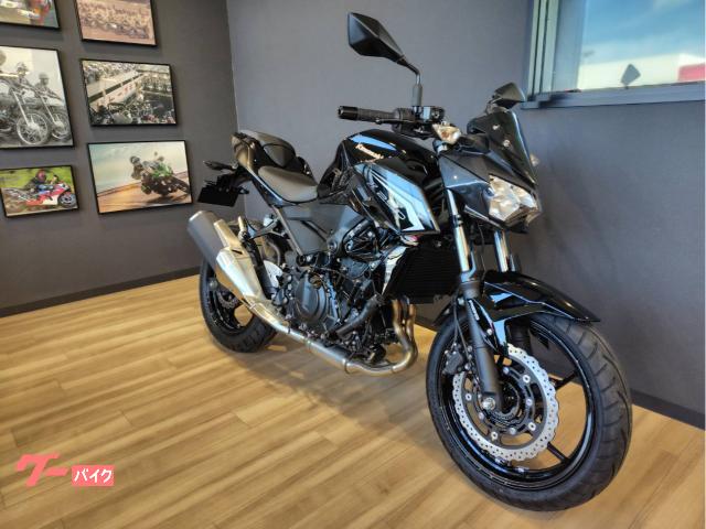 Ｚ２５０　２０２６年モデル　ブラック