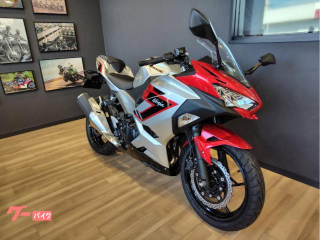 Ｎｉｎｊａ　２５０