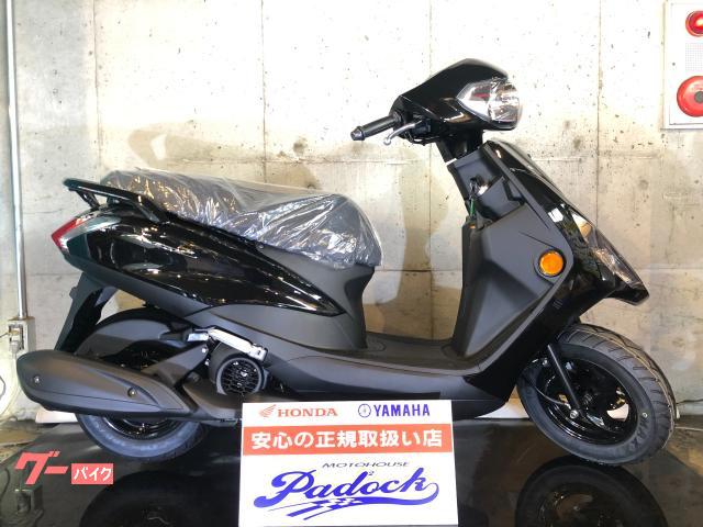 ＡＸＩＳ　Ｚ　２０２５年新型モデル　新規自賠責保険１年付き