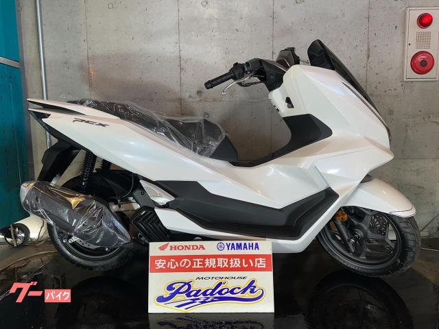 ＰＣＸ　２０２５年新型モデル　新規自賠責保険１年付