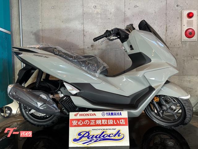 ＰＣＸ　２０２５年新型モデル　新規自賠責保険１年付