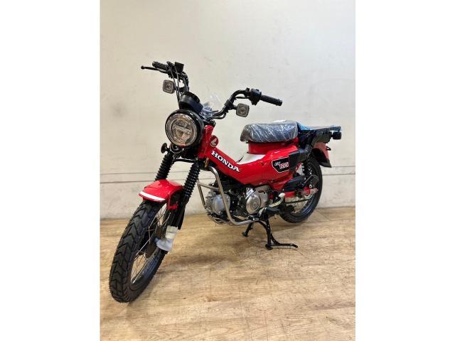 ハンターカブJA65CT125赤2024年自賠責付HONDA