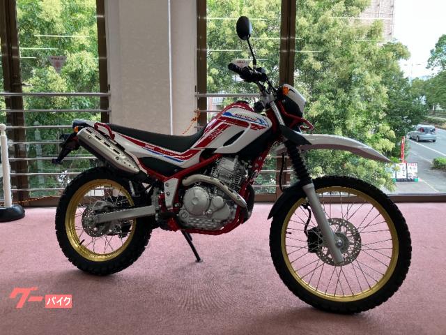 セロー２５０ファイナルエディション　２０２０年モデル　トレッキングモデル　リアチューブレス