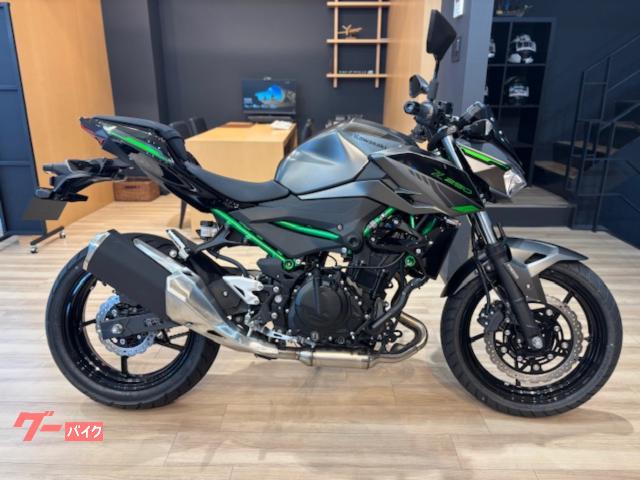 Ｚ２５０