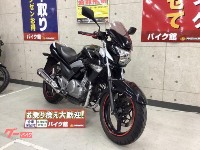 ＧＳＲ２５０　ＭＲＡ製スクリーン　ＵＳＢ