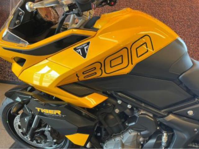 タイガースポーツ800