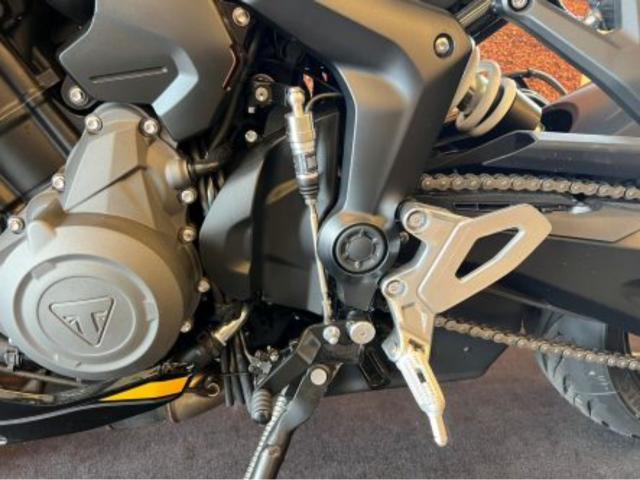タイガースポーツ800
