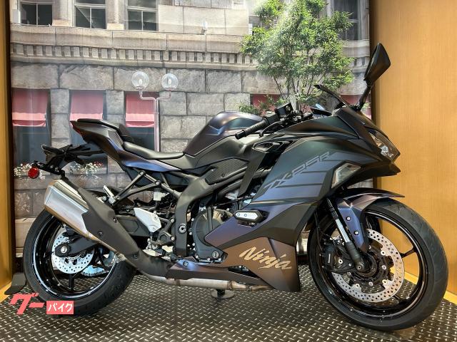 Ｎｉｎｊａ　ＺＸ−２５Ｒ　ＳＥ