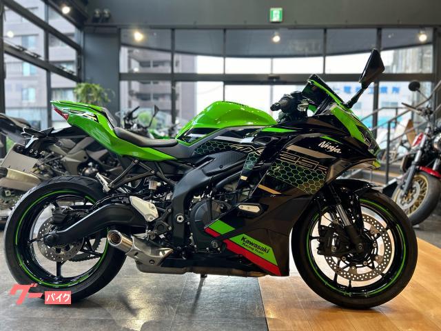 Ｎｉｎｊａ　ＺＸ−２５Ｒ　ＳＥ
