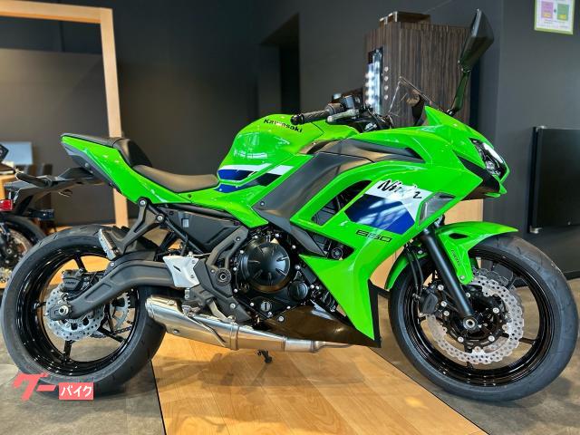 Ｎｉｎｊａ　６５０