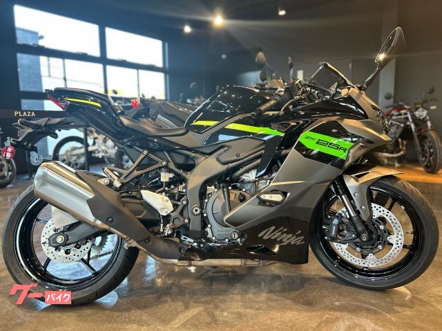 Ｎｉｎｊａ　ＺＸ−２５Ｒ　ＳＥ