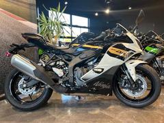 カワサキ　Ｎｉｎｊａ　ＺＸ−４Ｒ　ＳＥ