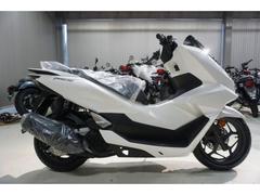 ホンダ　ＰＣＸ　２０２５ＮＥＷモデル　純正スポーツグリップヒーター付　パールスノーフレークホワイト　新車