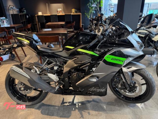 Ｎｉｎｊａ　ＺＸ−２５Ｒ　ＳＥ