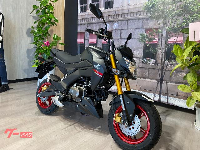 カワサキ Ｚ１２５ＰＲＯ　２０２１年モデルの画像（佐賀県