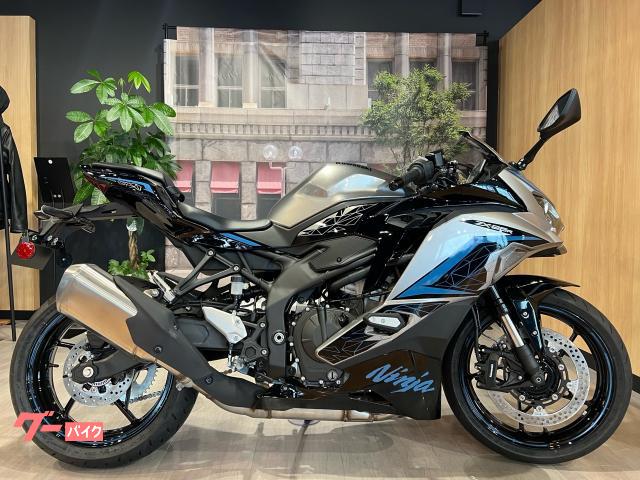 Ｎｉｎｊａ　ＺＸ−２５Ｒ　ＳＥ　２０２４年モデル